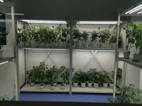 人工氣候室 人工氣候室