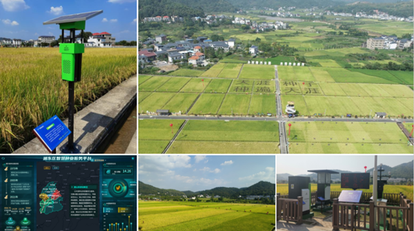 1665735786404709.png 天涯種業科學院制種基地.png